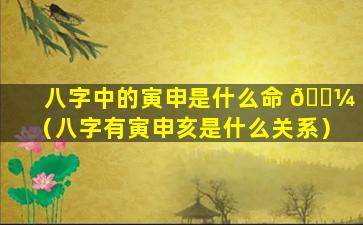 八字中的寅申是什么命 🌼 （八字有寅申亥是什么关系）